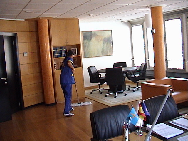 Limpieza del hogar: Limpiezas y Servicios La Campa (Gijón, Asturias)