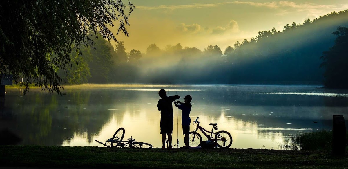 Isabel Luna Marín · Abogado de familia en Madrid, Comunidad de Madrid